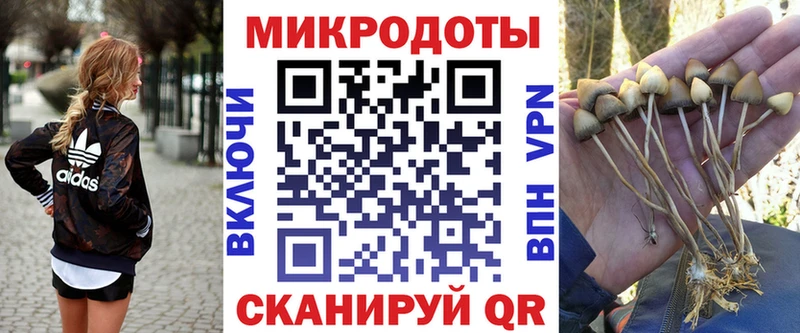 мега зеркало  Вичуга  Псилоцибиновые грибы Cubensis 