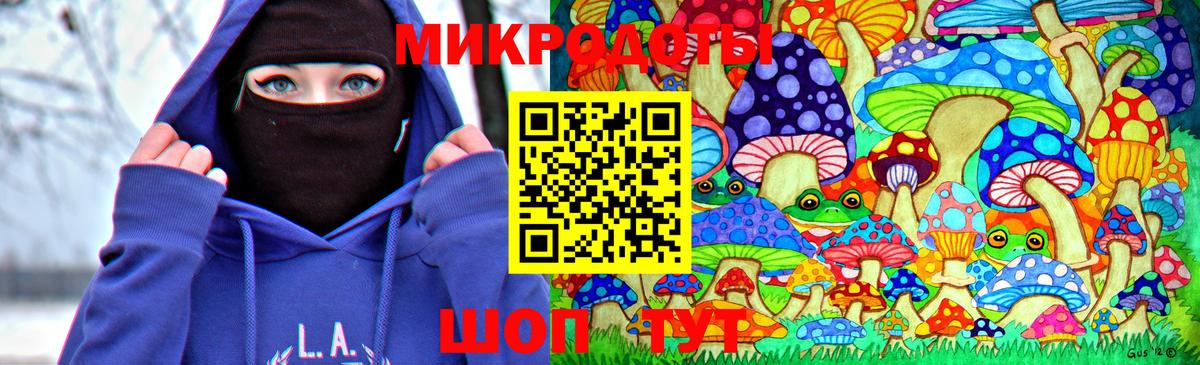 Псилоцибиновые грибы MAGIC MUSHROOMS  Вичуга 