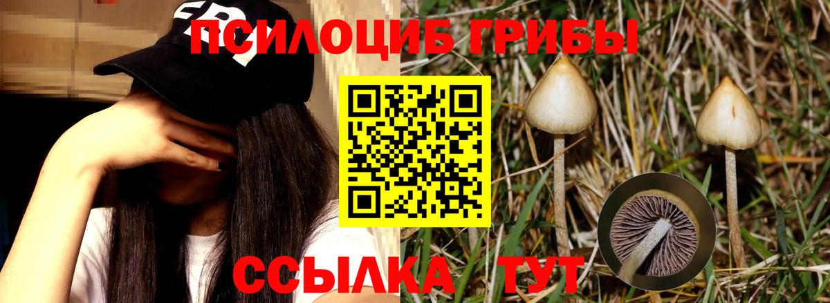 Псилоцибиновые грибы ЛСД Вичуга