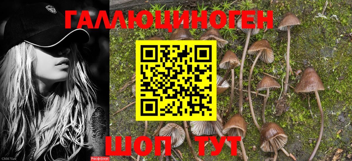 Псилоцибиновые грибы мухоморы  купить наркотики цена  Вичуга  Вход с VPN  Псилоцибиновые грибы Magic Shrooms 