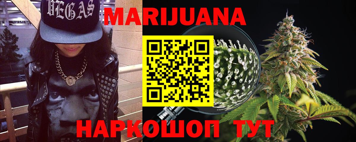 Каннабис семена  Конопля OG Kush  Бошки Шишки семена  Вичуга  Конопля план 